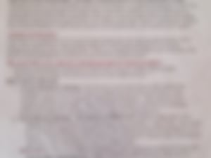 Looking for lost ladybugs